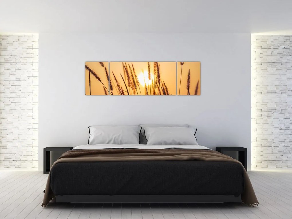 Obraz - Trawa w słońcu (170x50 cm)