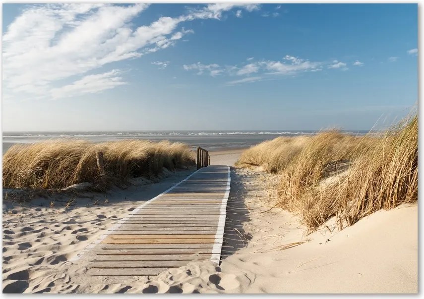 Foto obraz szklany Ścieżka na plaży