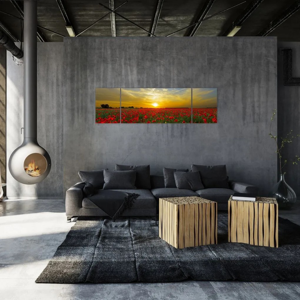 Obraz pola maków (170x50 cm)