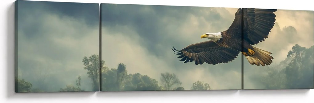 Obraz - Lecący orzeł (170x50 cm)