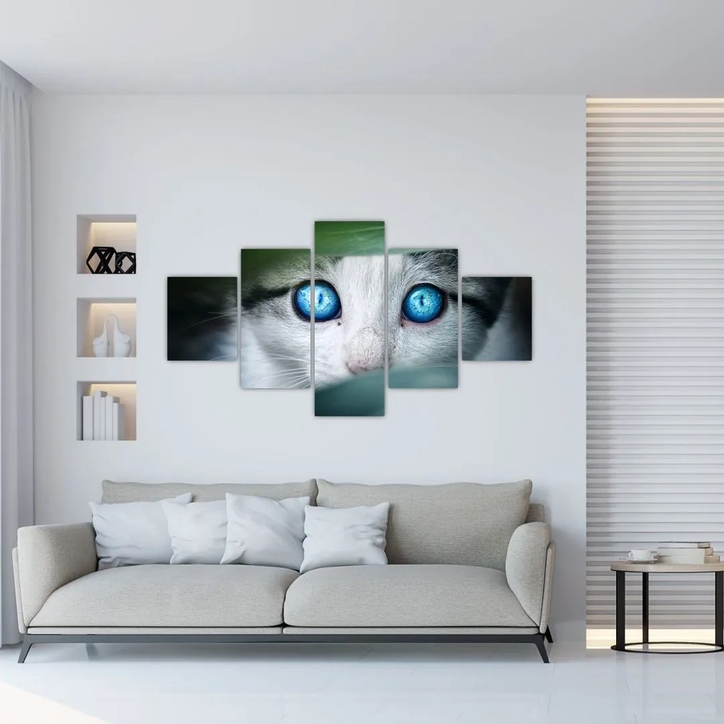 Obraz kota (125x70 cm)