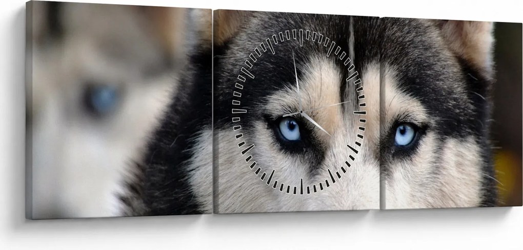 Obraz psa husky (z zegarem) (90x30 cm)