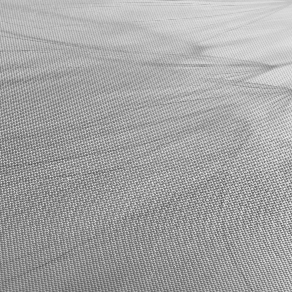 Obraz - Mniszek lekarski (170x50 cm)