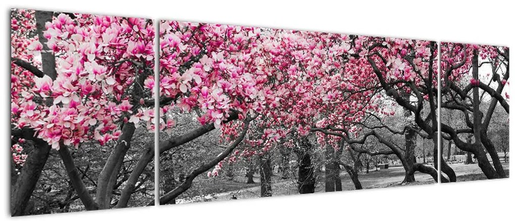 Obraz drzew magnolii (170x50 cm)