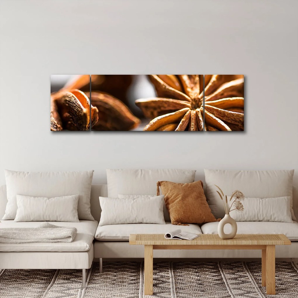 Obraz - Anyż (170x50 cm)
