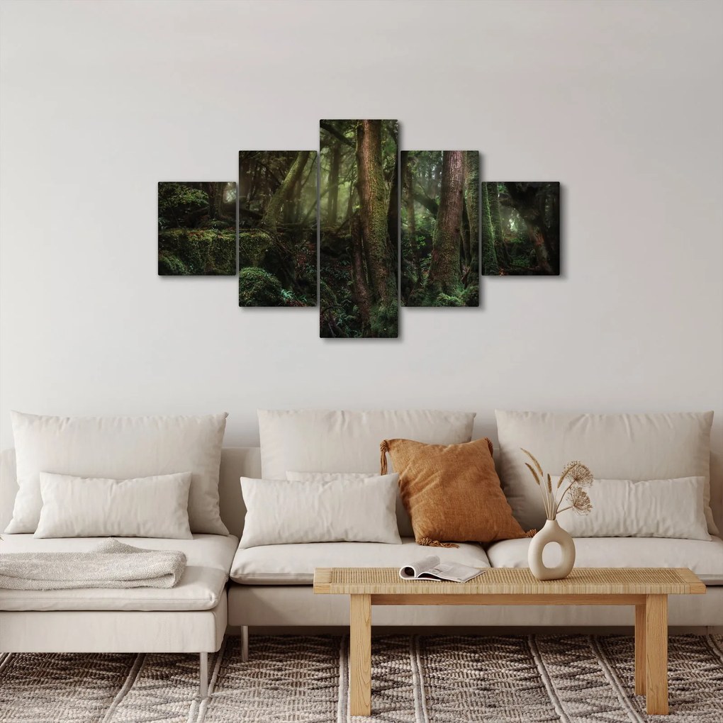 Obraz - Tajemniczy las (125x70 cm)