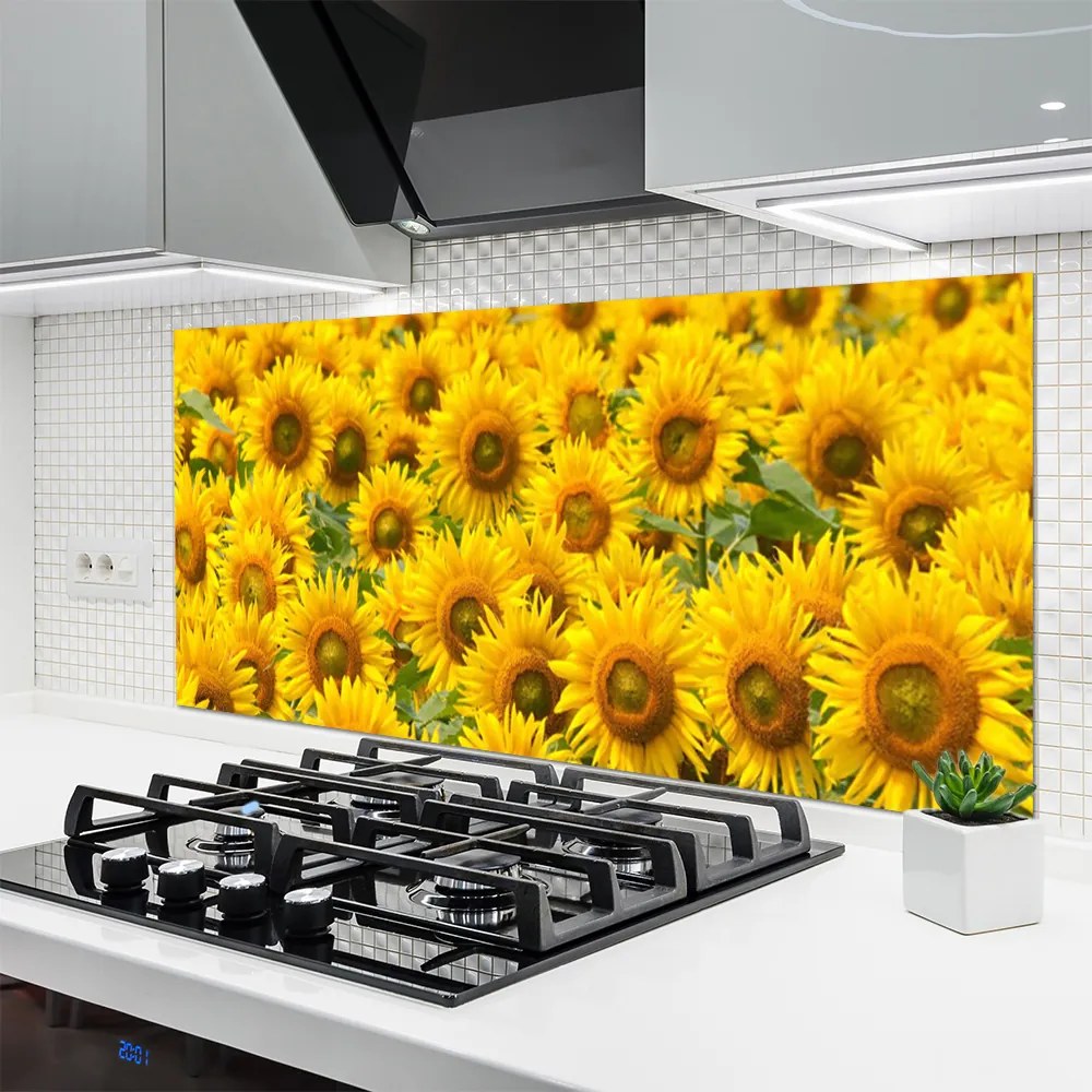 Panel Kuchenny Słonecznik W Pełnym Słońcu