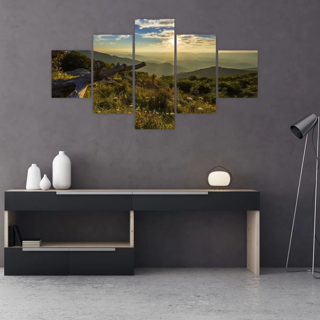 Obraz - Widok na otoczenie (125x70 cm)