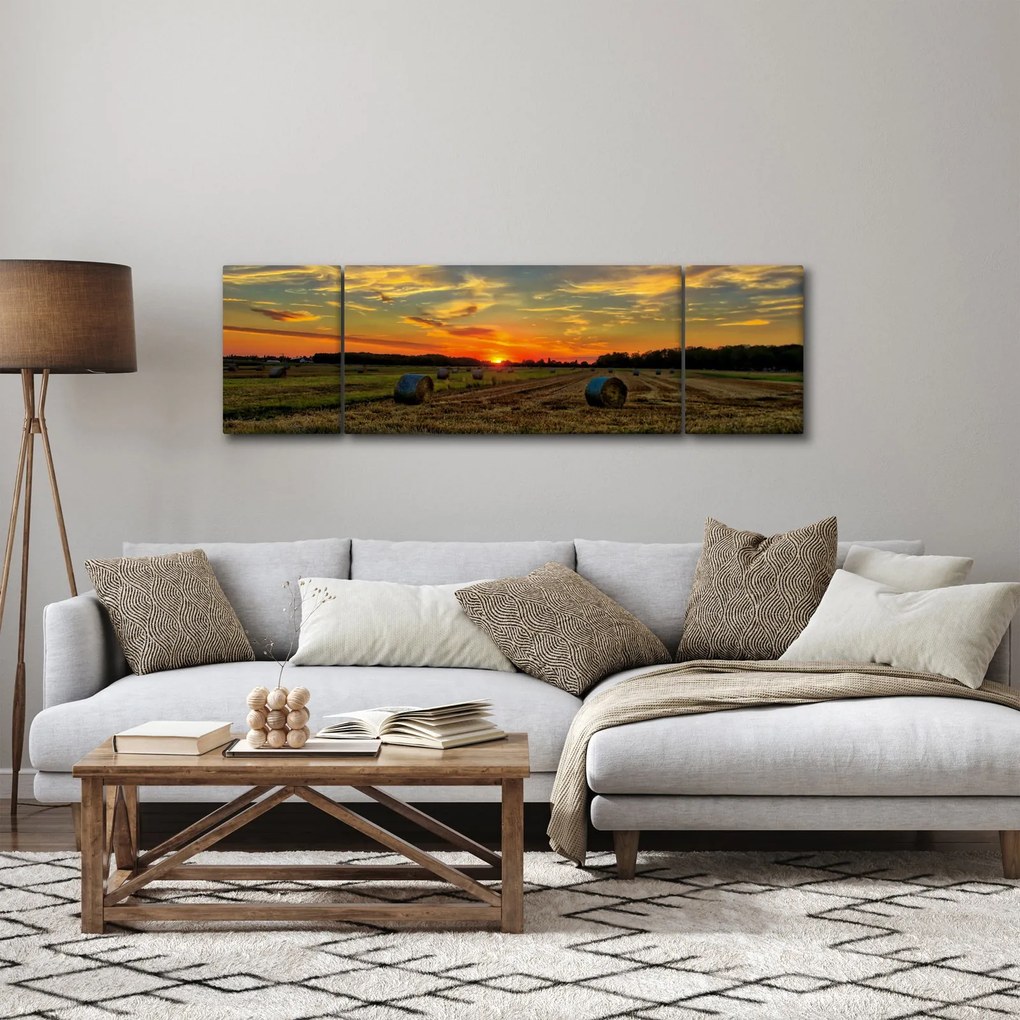Obraz - Wiejskie bale (170x50 cm)