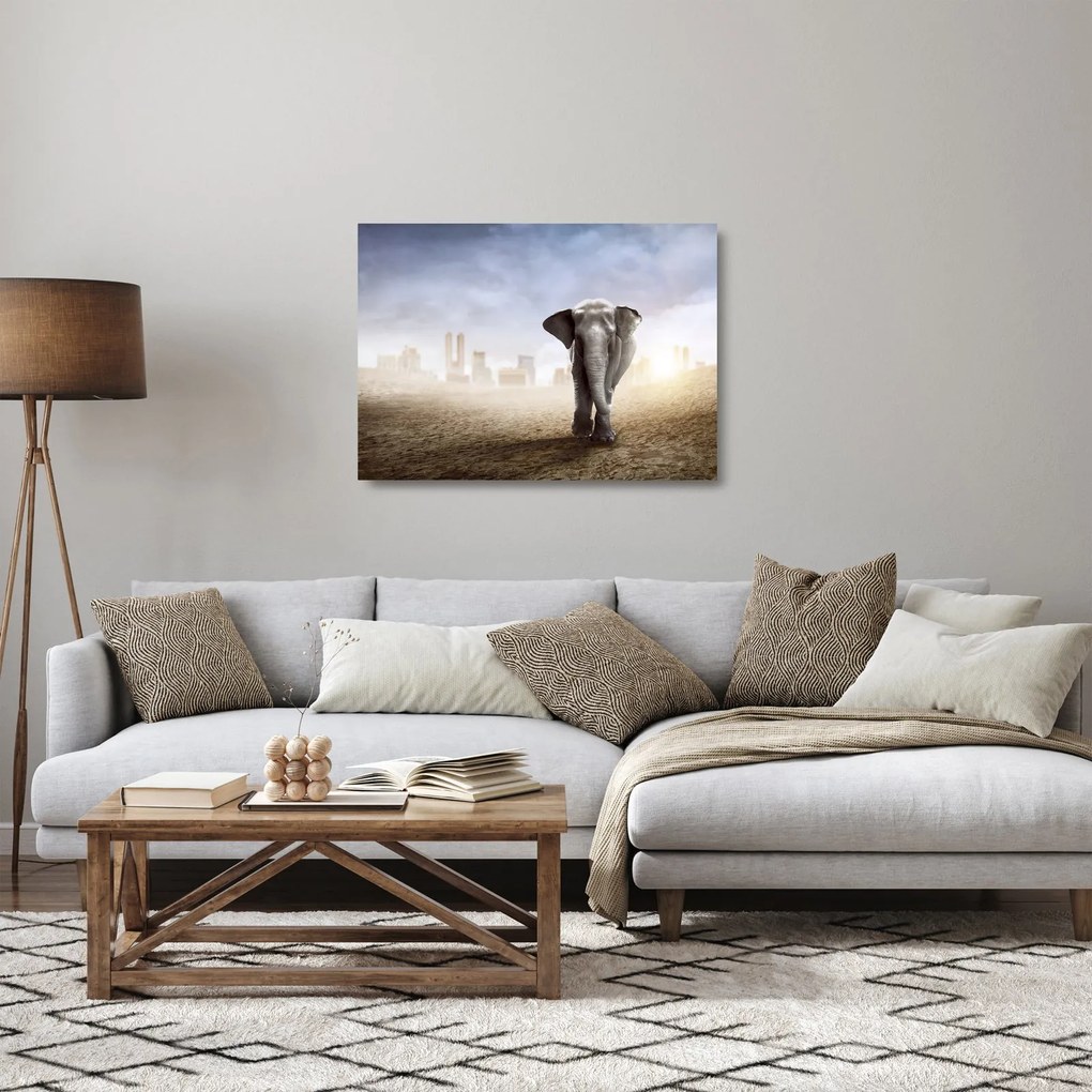 Obraz na szkle - Słonie w wielkim mieście (70x50 cm)