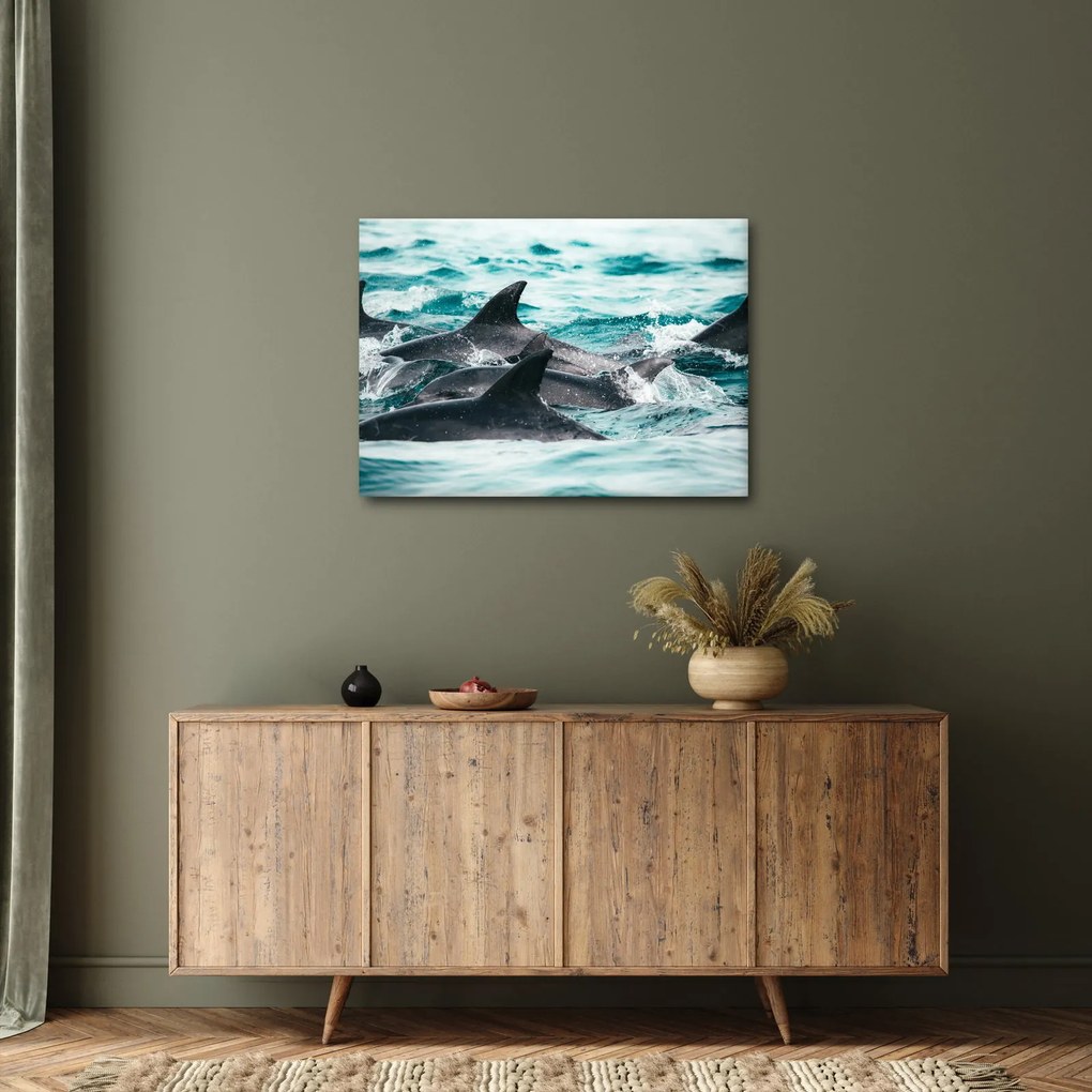 Obraz - Delfiny w oceanie (70x50 cm)