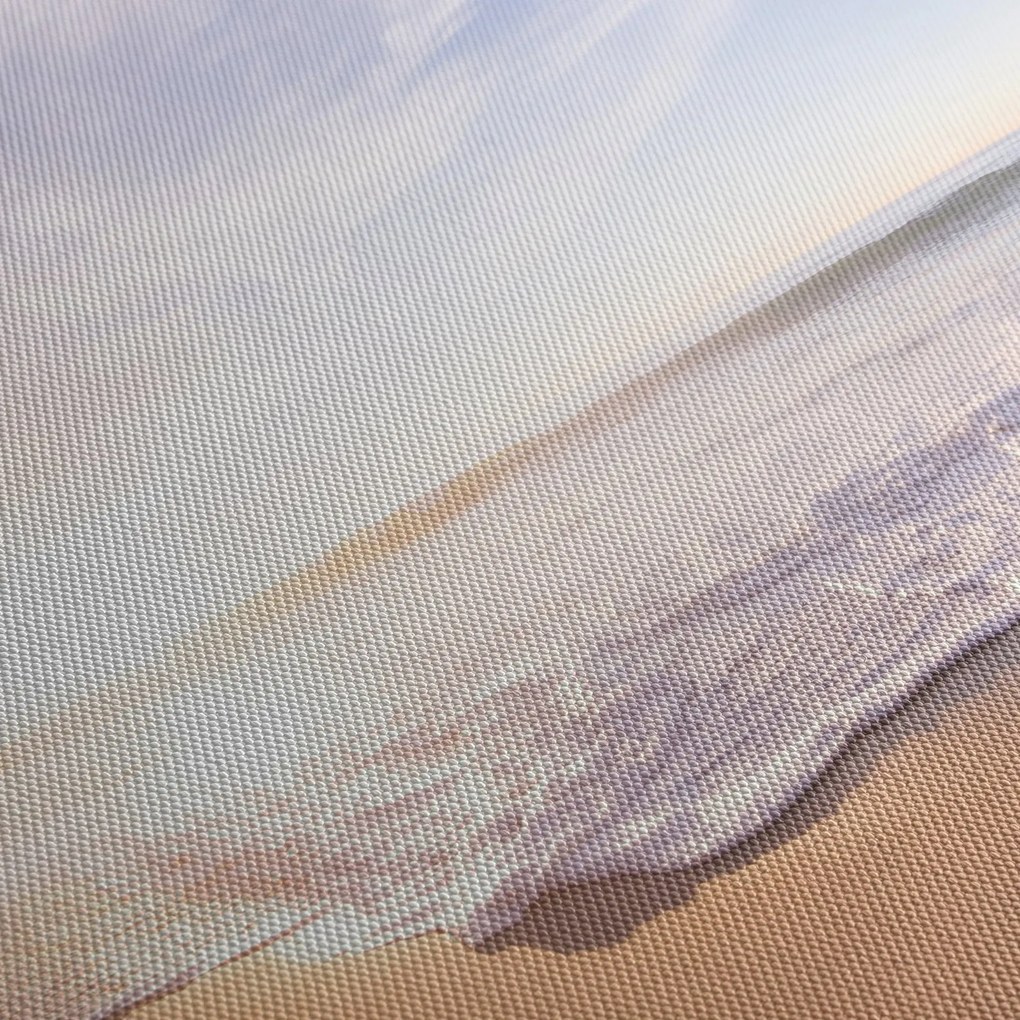 Obraz piaszczystej plaży (70x50 cm)