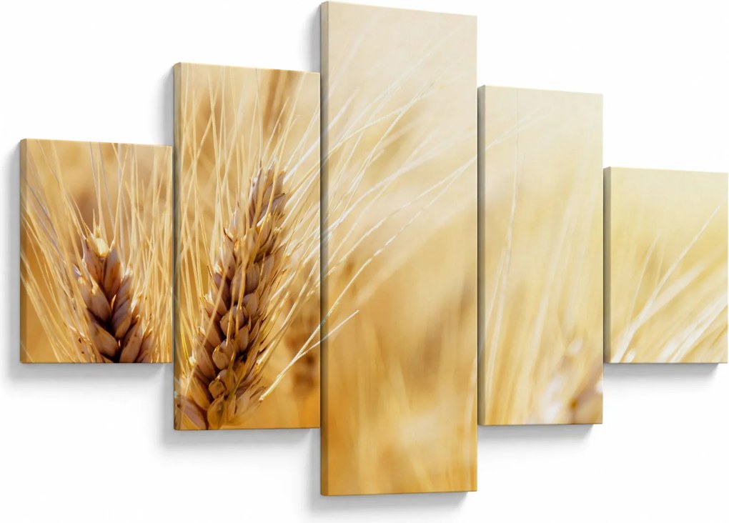 Obraz - szczegóły ziarna (125x70 cm)