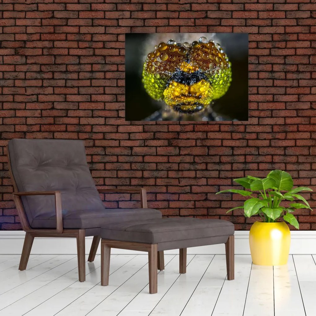 Szczegółowy obraz oczu owadów (70x50 cm)