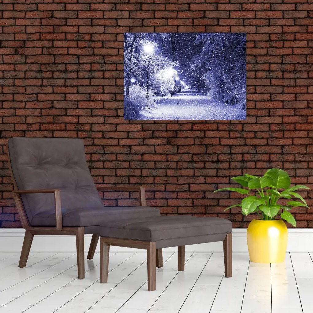 Obraz na szkle - Magiczna zimowa noc (70x50 cm)