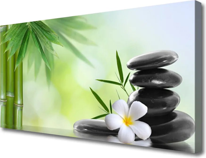 Obraz drukowany na płótnie Egzotyka Bambusa i Kwiatów