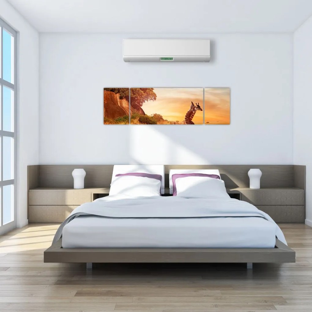 Obraz - Żyrafy w Afryce (170x50 cm)