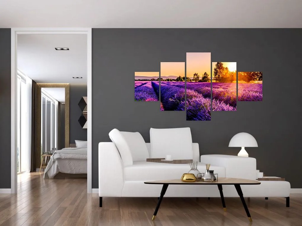 Obraz lawendowego pola (125x70 cm)