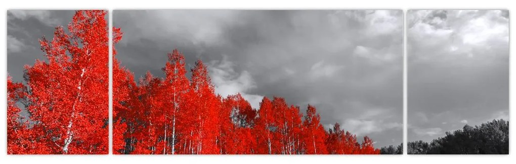 Obraz - Drzewa w kolorze jesieni (170x50 cm)