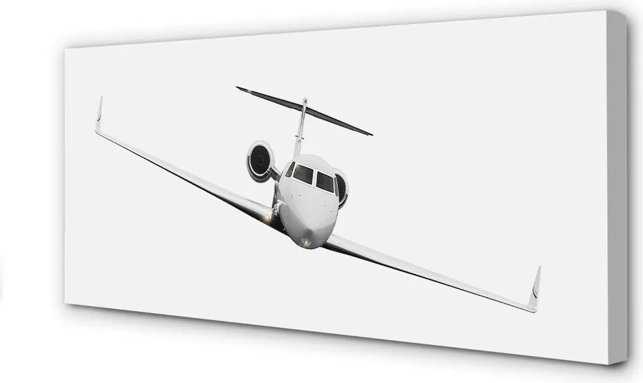 Obraz drukowany na płótnie Sylwetka Samolotu pod Niebem