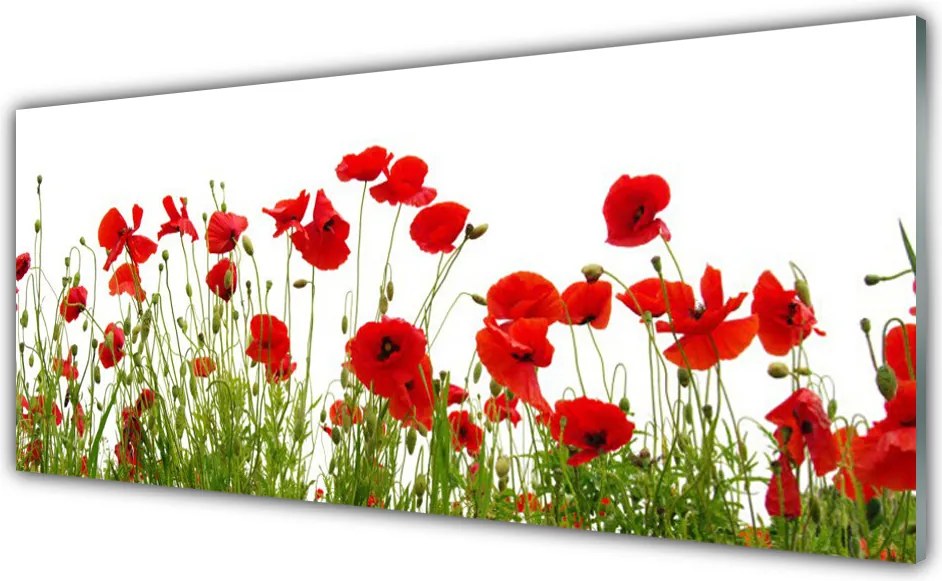 Panel Szklany Czerwone Maki w Letnim Polu