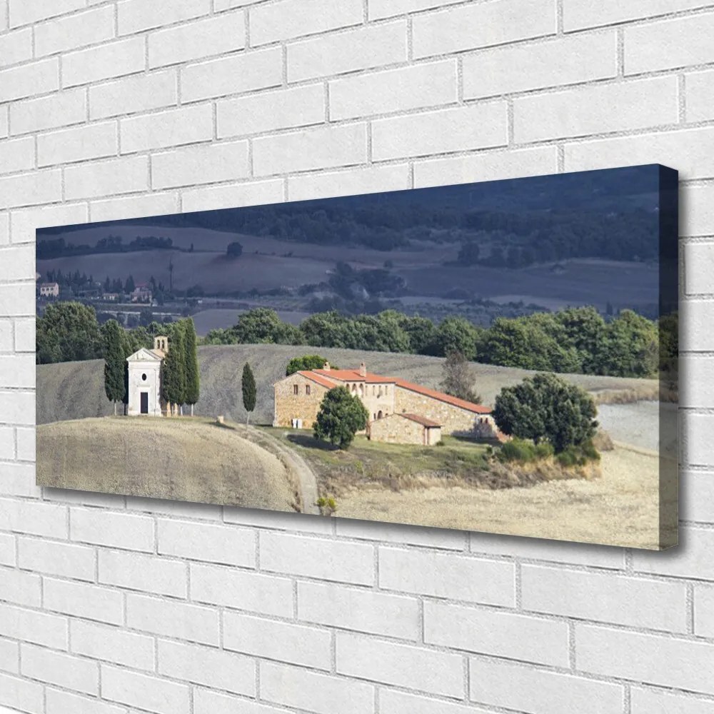 Obraz Canvas Łąka Drzewa Krajobraz