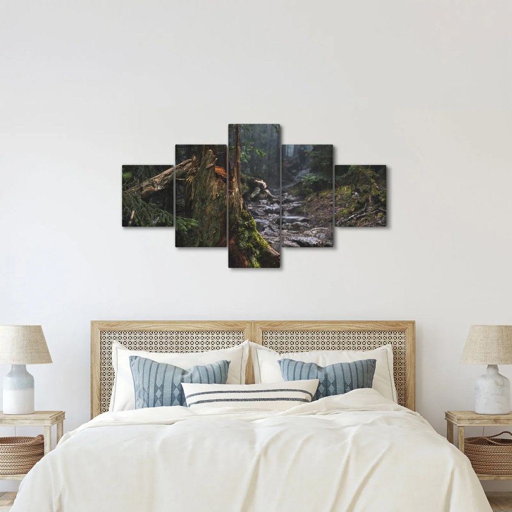 Obraz - W lesie (125x70 cm)