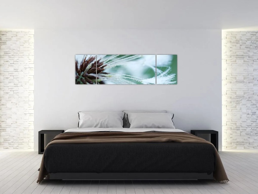 Obraz - Detal kwiatu (170x50 cm)