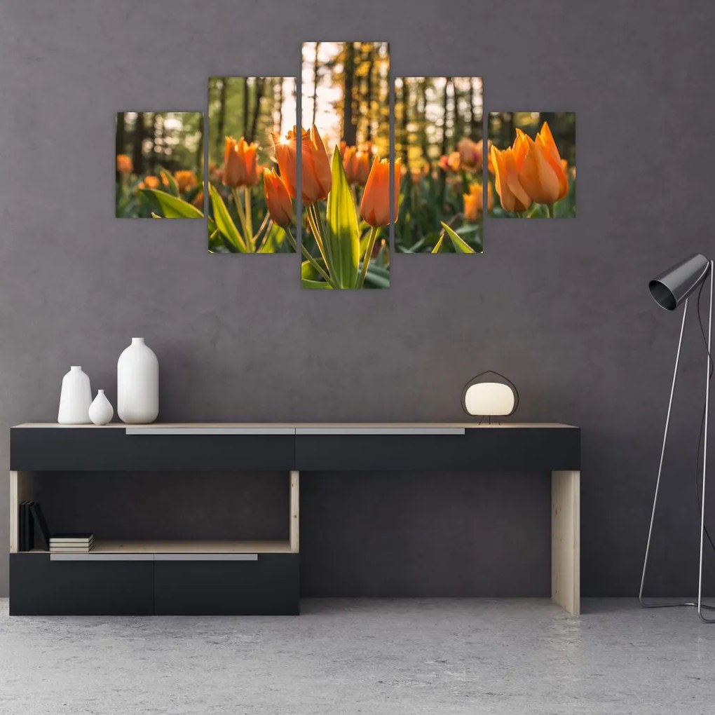 Obraz - pomarańczowe tulipany (125x70 cm)