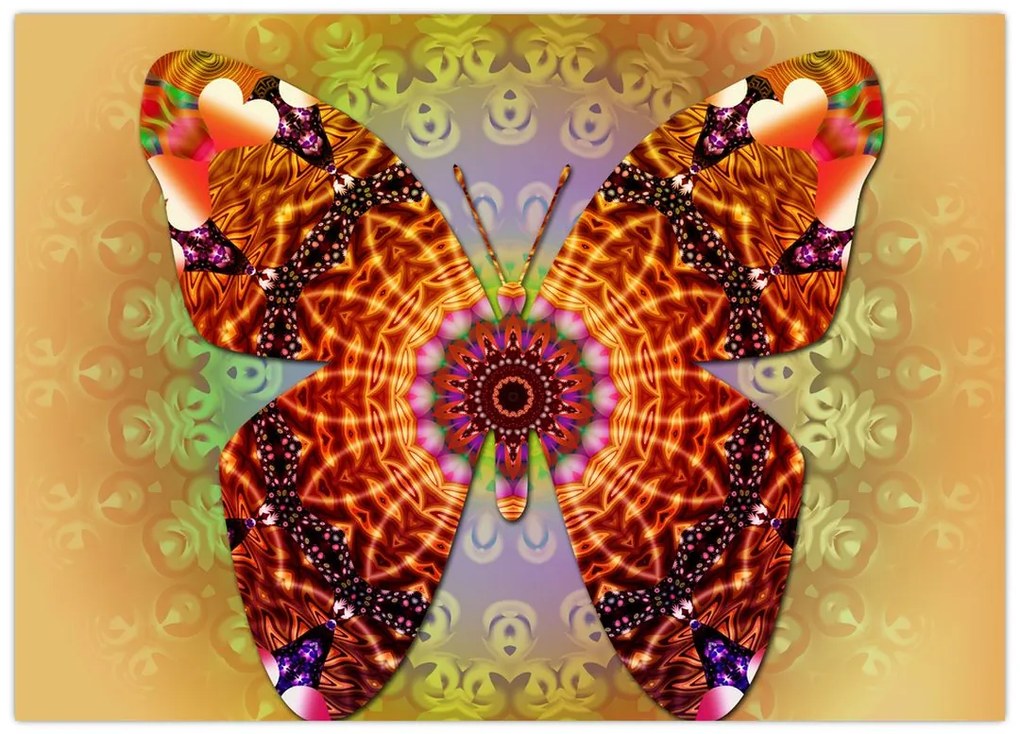 Obraz na szkle - Etno motyl (70x50 cm)