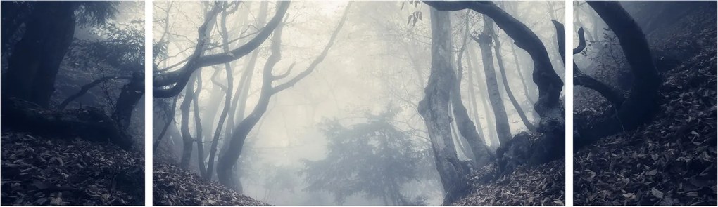 Obraz- Las we mgle (170x50 cm)