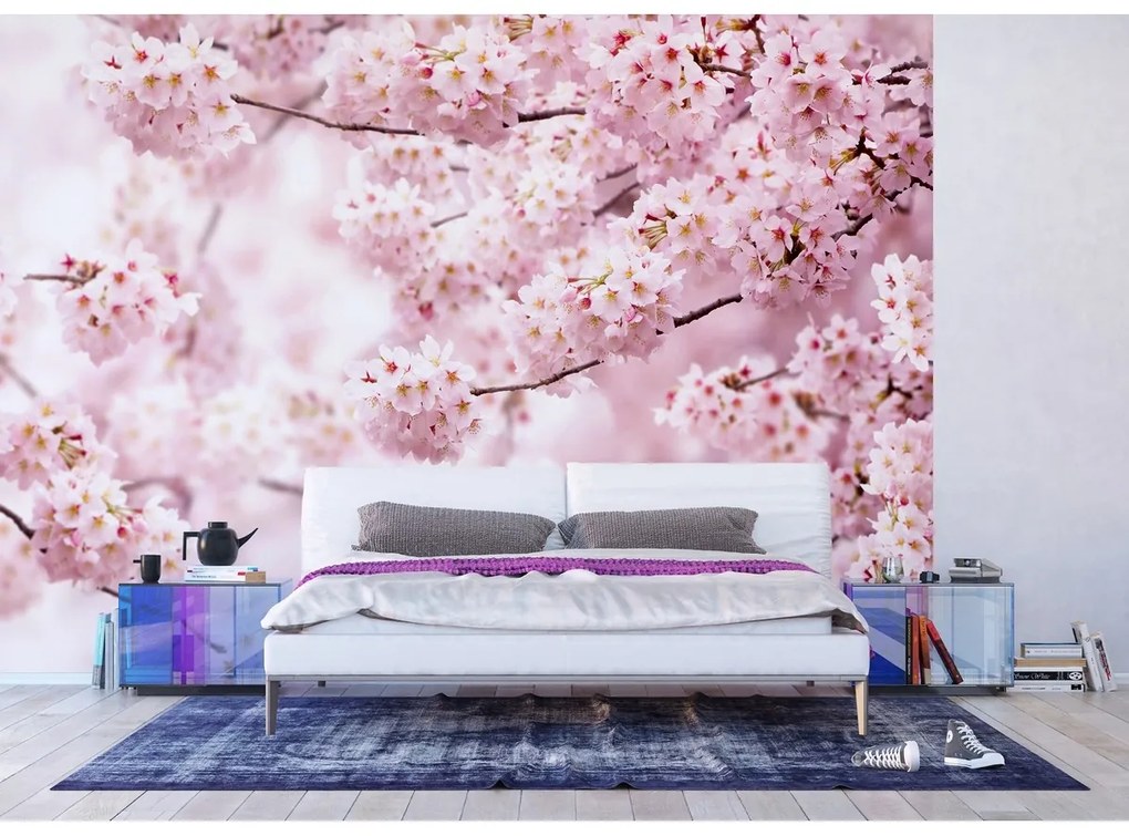 Fototapeta XXL Sakura 360 x 254 cm, 4 części