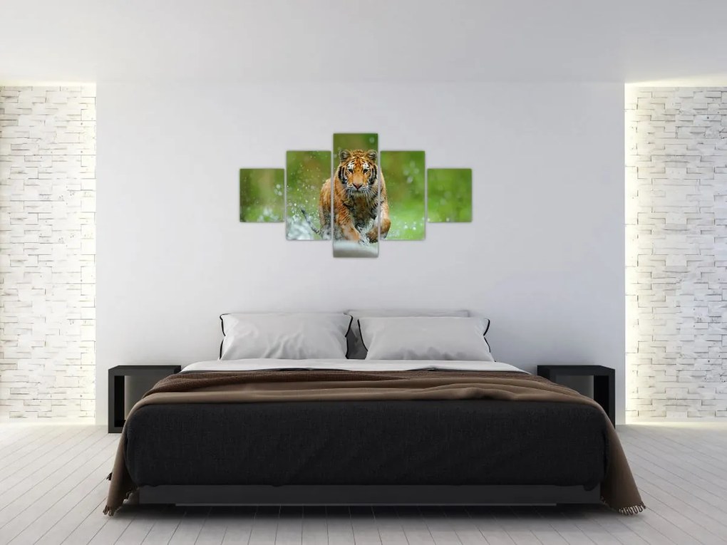 Obraz - Biegnący tygrys (125x70 cm)