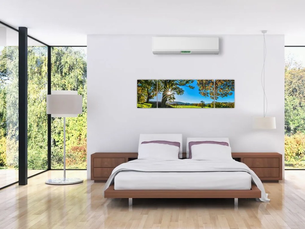 Obraz - widok pola (170x50 cm)