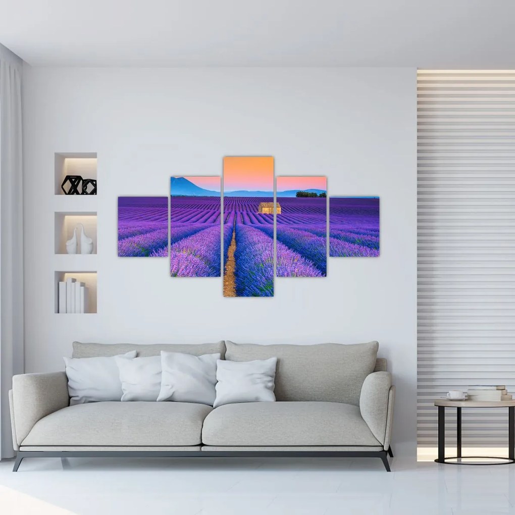 Obraz - Lewndowe pole (125x70 cm)