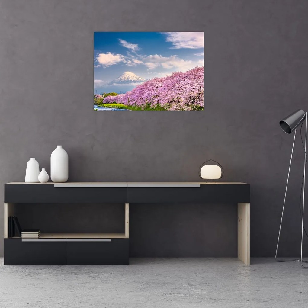 Obraz na szkle - Japoński wiosenny krajobraz (70x50 cm)