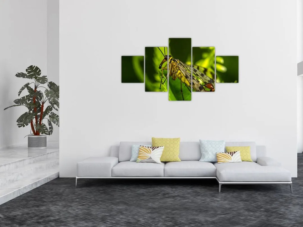 Obraz owada (125x70 cm)