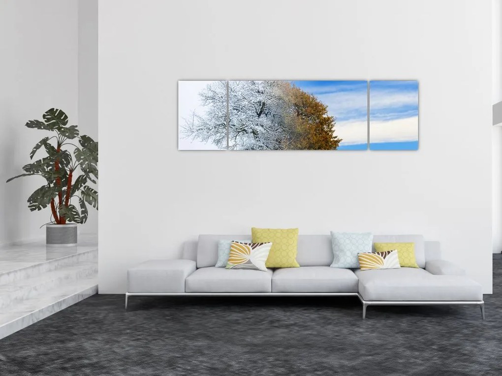 Obraz - Zmiana pór roku (170x50 cm)
