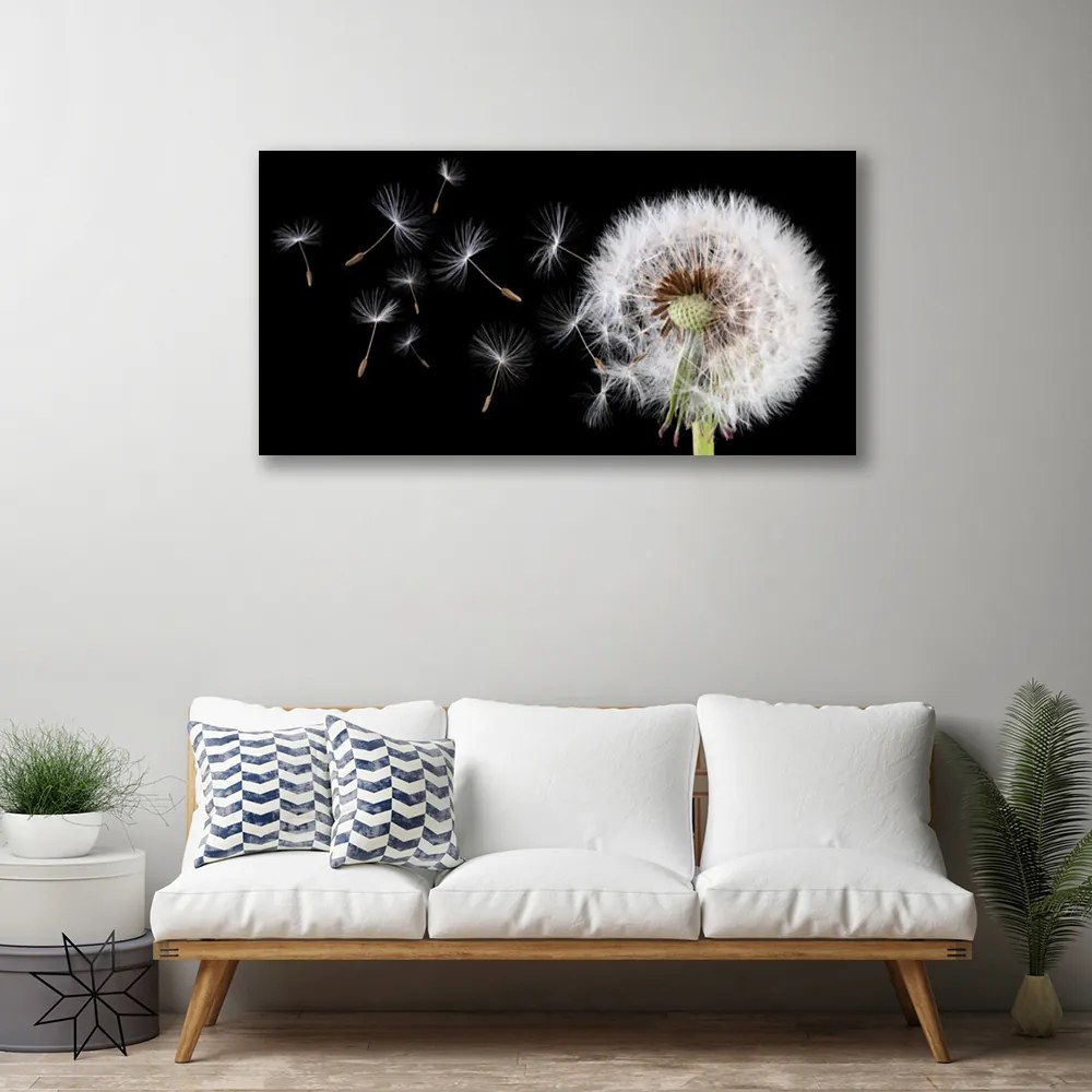 Obraz canvas na ścianę Puszysty Mniszek Lekarski