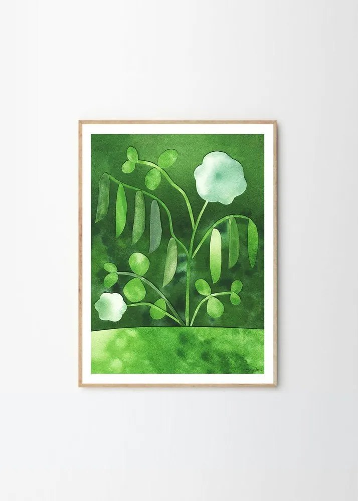 Plakat 50x70 cm Peas in Bloom – Anna Ravn Bjørn – The Poster Club