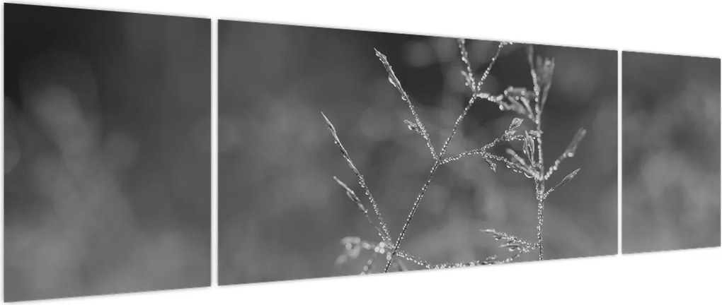 Obraz - Wiejska łąka (170x50 cm)