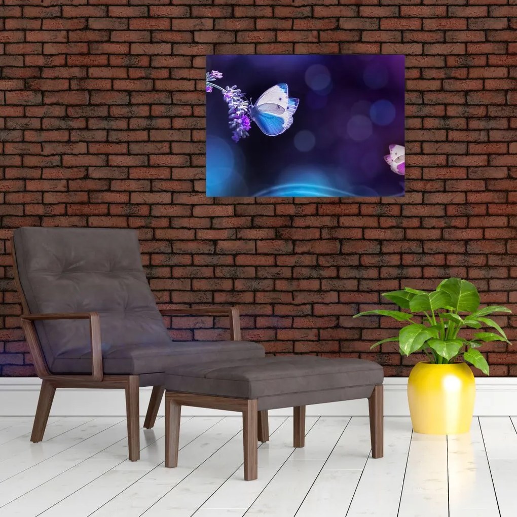 Obraz - Motyle na lawendie (70x50 cm)