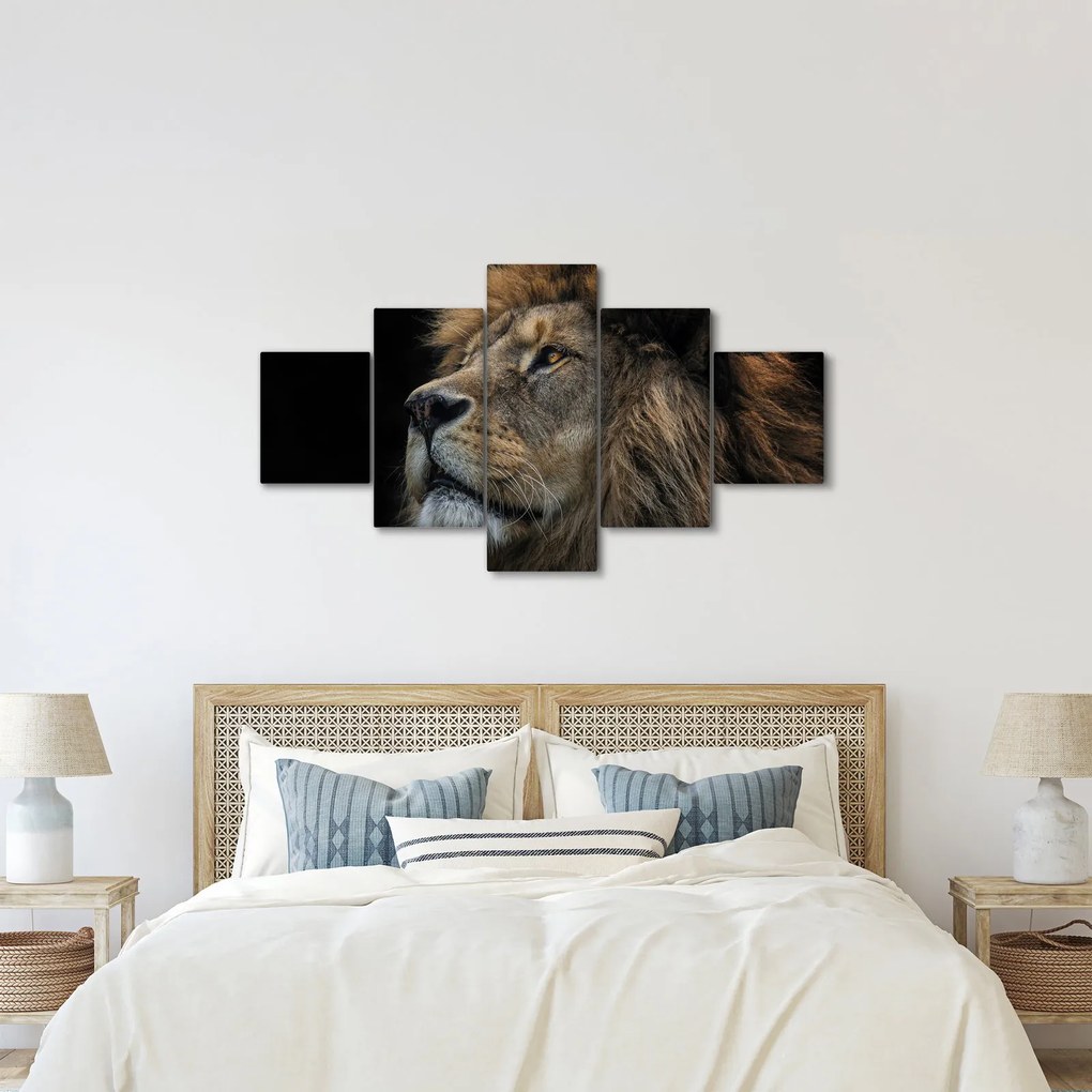 Obraz - Majestatyczny lew (125x70 cm)