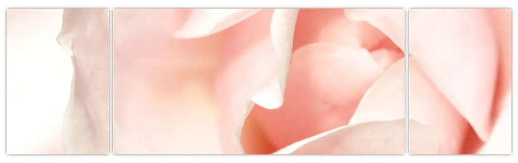 Obraz - Róża (170x50 cm)
