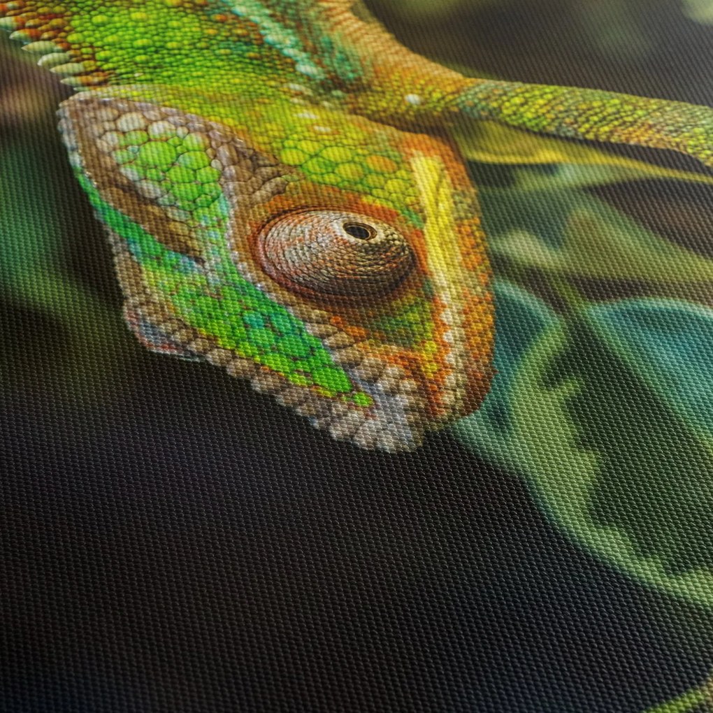 Obraz kameleona (170x50 cm)