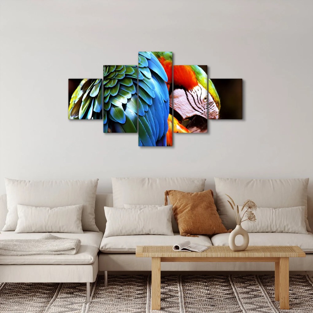 Obraz - Papuga (125x70 cm)