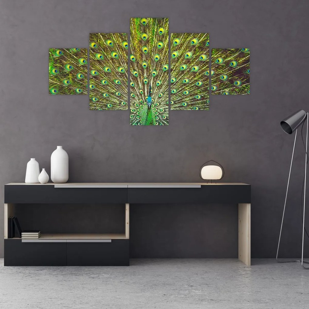 Obraz - Paw (125x70 cm)