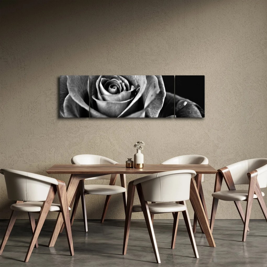 Obraz - Róża, czarno - biały (170x50 cm)