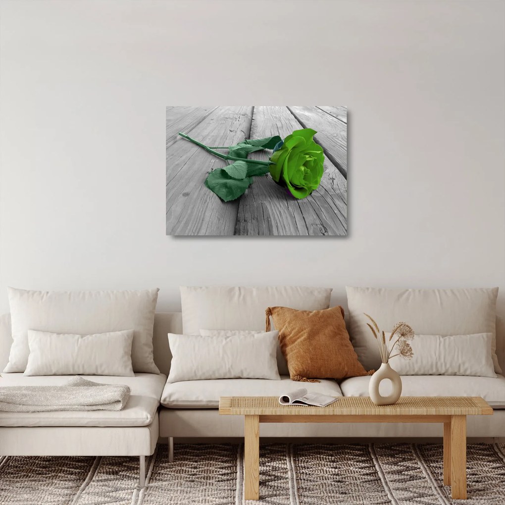 Obraz na szkle - Zielona róża (70x50 cm)