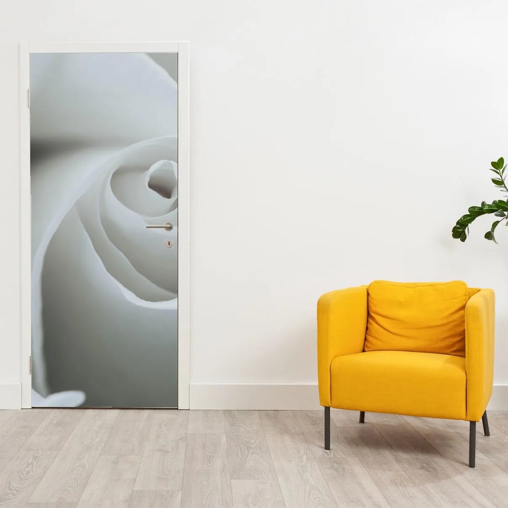 Fototapeta na drzwi - Biała róża (95x205cm)